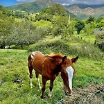 La Coqueta Del Sueve Σαλέ