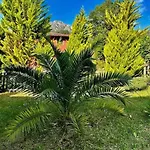 La Coqueta Del Sueve Σαλέ Arriondas