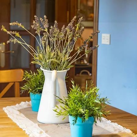 La Coqueta Del Sueve * Arriondas