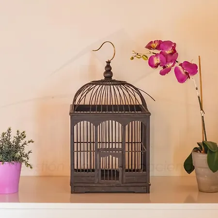 Dağ evi La Coqueta Del Sueve