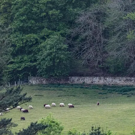 Dağ evi La Coqueta Del Sueve Arriondas