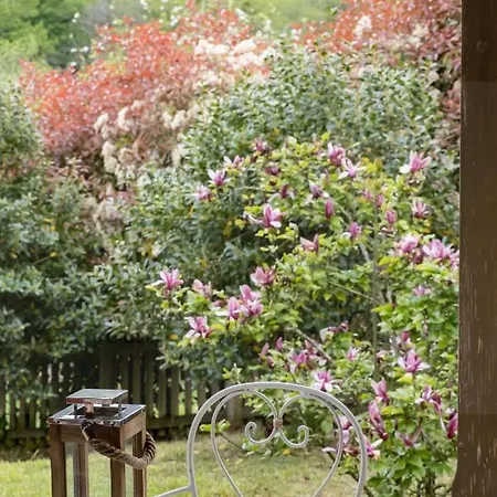 Dağ evi La Coqueta Del Sueve *