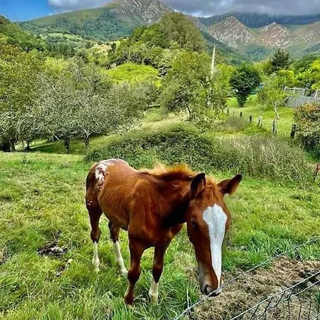 La Coqueta Del Sueve בקתה