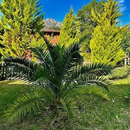 La Coqueta Del Sueve בקתה אריונדס